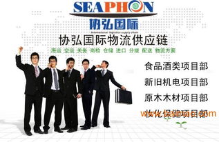 上海機(jī)場港口進(jìn)出口貿(mào)易清關(guān)報(bào)關(guān)代理 一站式解決方案與價(jià)值解析